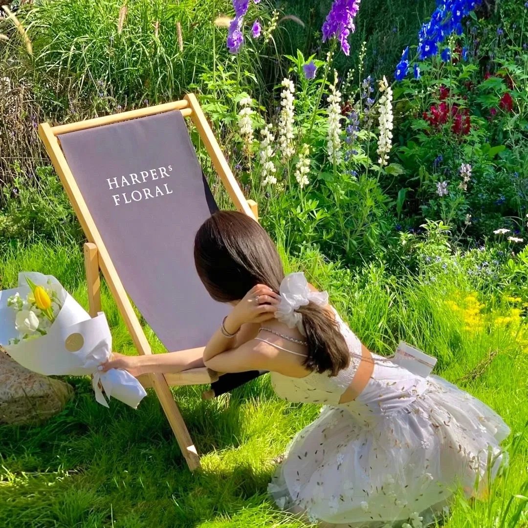 游龙归来$金榜题名之游龙归来